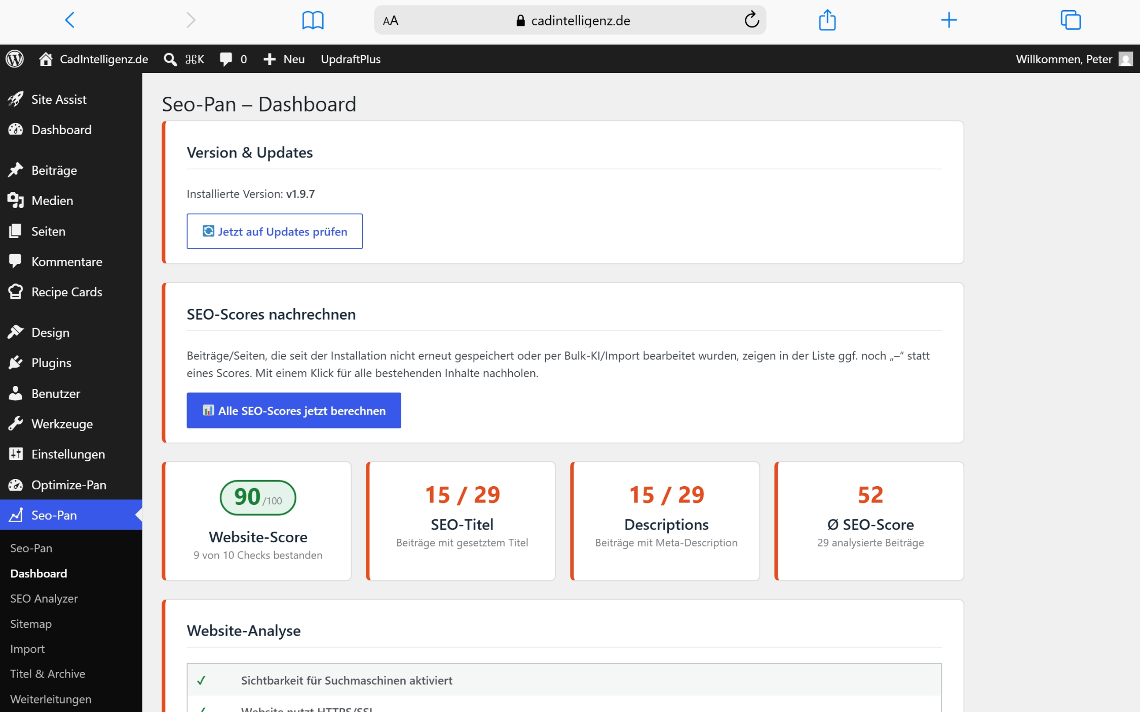 Seo-Pan Dashboard mit Website-Score 90 von 100, SEO-Titeln 15 von 29, Beschreibungen 15 von 29 und Gesamt-SEO-Score für 29 B…